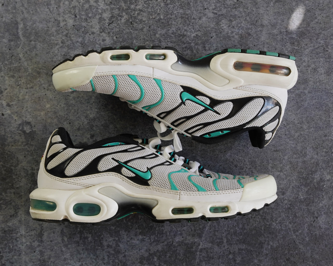 Nike TN Air Max Plus (43)