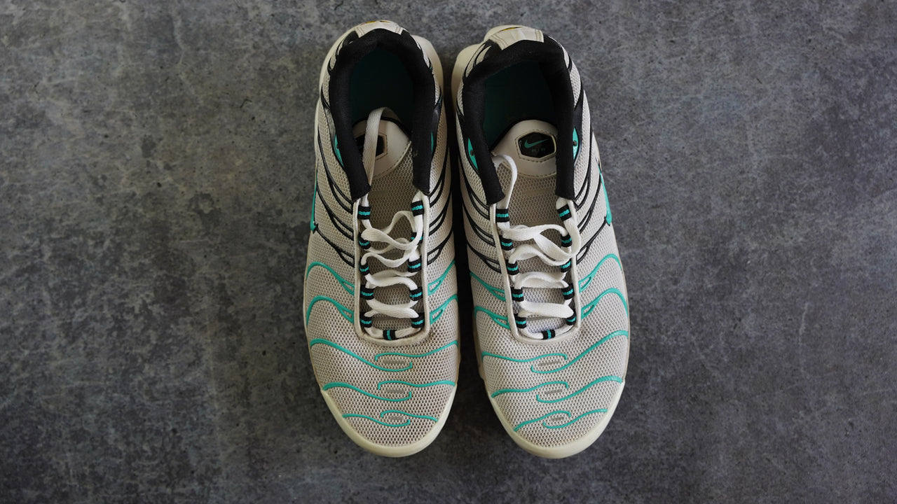 Nike TN Air Max Plus (43)